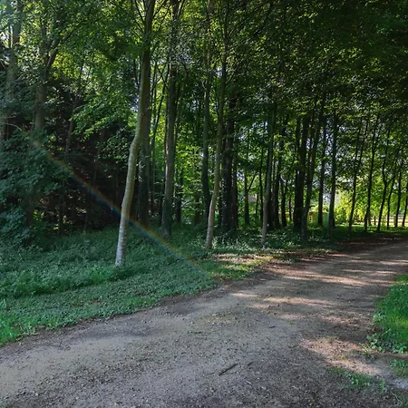 Le Presbytere - Demeure D'exception Historique Apartamento *